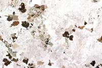 Granite de Senones (Vosges) LPNA x1,5